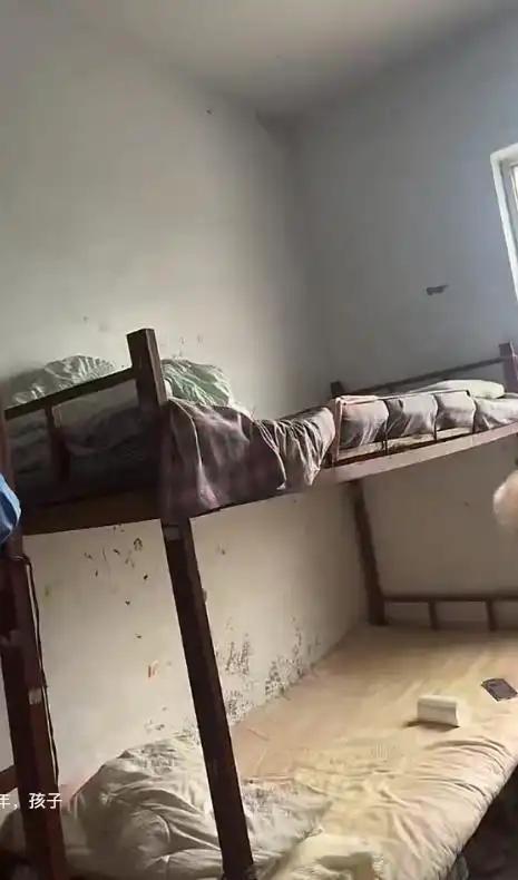 玩转绿茵嘉年华！“东北超”联动世界杯，跟着体彩过“足”瘾