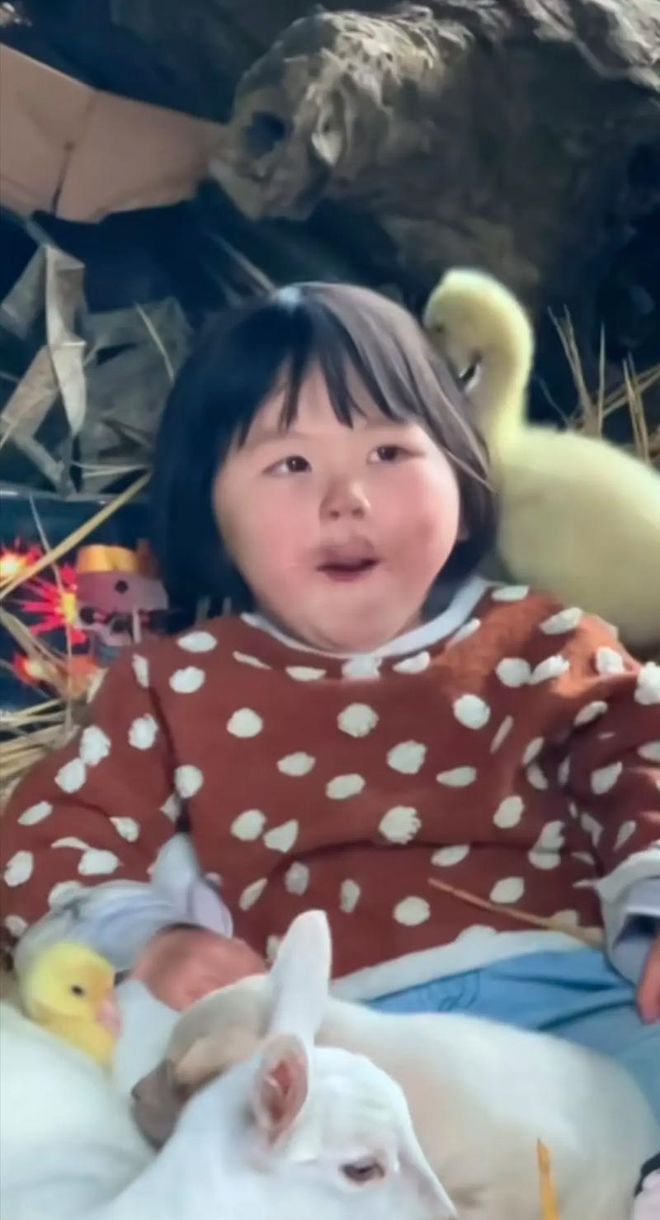性专家说:当一个异性开口跟你要钱,要礼物,不管对方是不是想试探你的真心,你都应该明白,你已被对方列入供养者行列